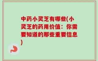 中药小灵芝有哪些(小灵芝的药用价值：你需要知道的那些重要信息)