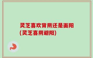 灵芝喜欢背阴还是面阳(灵芝喜阴避阳)