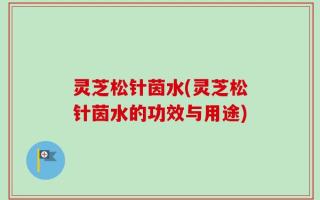 灵芝松针茵水(灵芝松针茵水的功效与用途)
