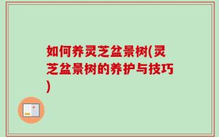 如何养灵芝盆景树(灵芝盆景树的养护与技巧)