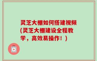 灵芝大棚如何搭建视频(灵芝大棚建设全程教学，高效易操作！)