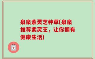 泉泉紫灵芝种草(泉泉推荐紫灵芝，让你拥有健康生活)