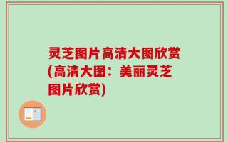 灵芝图片高清大图欣赏(高清大图：美丽灵芝图片欣赏)