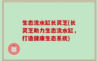 生态流水缸长灵芝(长灵芝助力生态流水缸，打造健康生态系统)