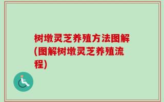 树墩灵芝养殖方法图解(图解树墩灵芝养殖流程)