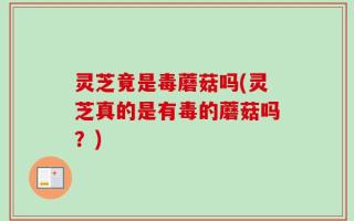 灵芝竟是毒蘑菇吗(灵芝真的是有毒的蘑菇吗？)