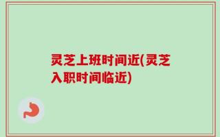 灵芝上班时间近(灵芝入职时间临近)