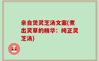 亲自煲灵芝汤文案(煮出灵草的精华：纯正灵芝汤)