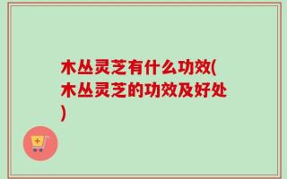 木丛灵芝有什么功效(木丛灵芝的功效及好处)