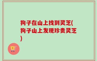 狗子在山上找到灵芝(狗子山上发现珍贵灵芝)