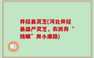 井陉县灵芝(河北井陉县盛产灵芝，农民弃“钱眼”奔小康路)