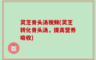 灵芝骨头汤视频(灵芝转化骨头汤，提高营养吸收)