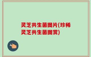 灵芝共生菌图片(珍稀灵芝共生菌图赏)