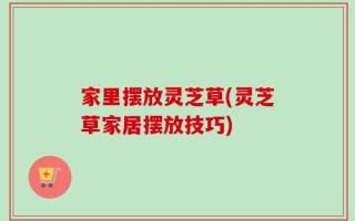 家里摆放灵芝草(灵芝草家居摆放技巧)