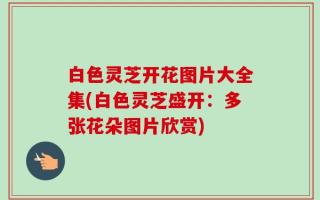 白色灵芝开花图片大全集(白色灵芝盛开：多张花朵图片欣赏)
