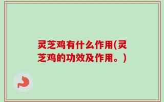灵芝鸡有什么作用(灵芝鸡的功效及作用。)