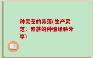种灵芝的苏落(生产灵芝：苏落的种植经验分享)