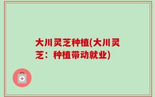 大川灵芝种植(大川灵芝：种植带动就业)