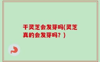 干灵芝会发芽吗(灵芝真的会发芽吗？)
