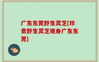 广东东莞野生灵芝(珍贵野生灵芝现身广东东莞)