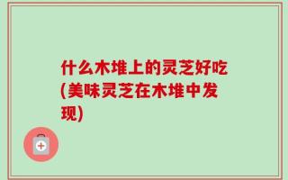 什么木堆上的灵芝好吃(美味灵芝在木堆中发现)