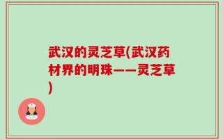 武汉的灵芝草(武汉药材界的明珠——灵芝草)