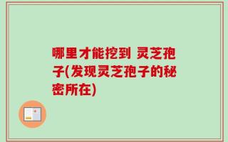 哪里才能挖到 灵芝孢子(发现灵芝孢子的秘密所在)