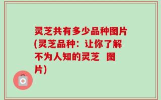 灵芝共有多少品种图片(灵芝品种：让你了解不为人知的灵芝  图片)