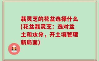栽灵芝的花盆选择什么(花盆栽灵芝：选对盆土和水分，开土壤管理新局面)