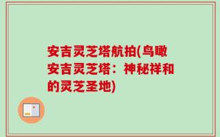 安吉灵芝塔航拍(鸟瞰安吉灵芝塔：神秘祥和的灵芝圣地)