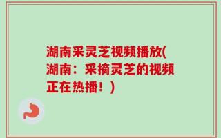 湖南采灵芝视频播放(湖南：采摘灵芝的视频正在热播！)