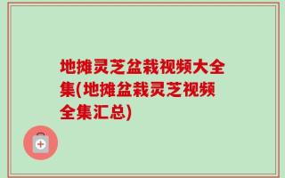 地摊灵芝盆栽视频大全集(地摊盆栽灵芝视频全集汇总)