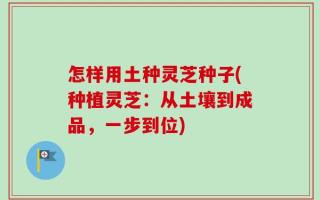 怎样用土种灵芝种子(种植灵芝：从土壤到成品，一步到位)