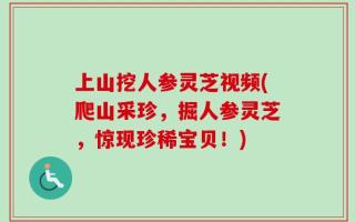 上山挖人参灵芝视频(爬山采珍，掘人参灵芝，惊现珍稀宝贝！)