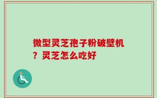 微型灵芝孢子粉破壁机？灵芝怎么吃好