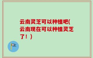 云南灵芝可以种植吧(云南现在可以种植灵芝了！)