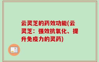 云灵芝的药效功能(云灵芝：强效抗氧化、提升免疫力的灵药)