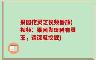 果园挖灵芝视频播放(视频：果园发现稀有灵芝，请深度挖掘)