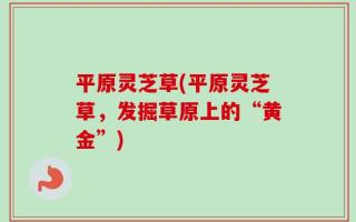 平原灵芝草(平原灵芝草，发掘草原上的“黄金”)
