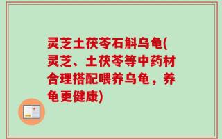 灵芝土茯苓石斛乌龟(灵芝、土茯苓等中药材合理搭配喂养乌龟，养龟更健康)