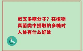 灵芝多糖分子？在植物真菌类中提取的多糖对人体有什么好处