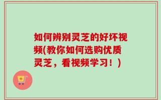 如何辨别灵芝的好坏视频(教你如何选购优质灵芝，看视频学习！)