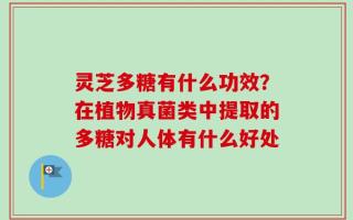 灵芝多糖有什么功效？在植物真菌类中提取的多糖对人体有什么好处
