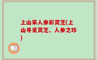 上山采人参彩灵芝(上山寻觅灵芝、人参之珍)