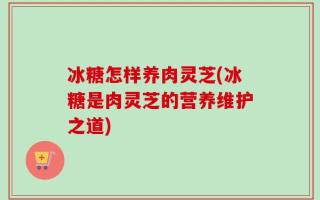 冰糖怎样养肉灵芝(冰糖是肉灵芝的营养维护之道)