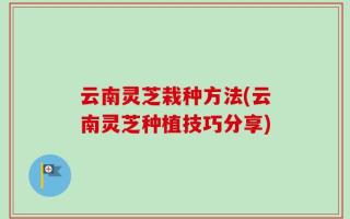 云南灵芝栽种方法(云南灵芝种植技巧分享)