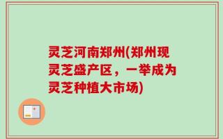 灵芝河南郑州(郑州现灵芝盛产区，一举成为灵芝种植大市场)