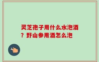 灵芝孢子用什么水泡酒？野山参用酒怎么泡