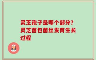 灵芝孢子是哪个部分？灵芝菌包菌丝发育生长过程