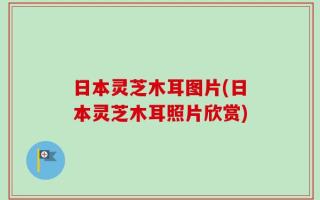 日本灵芝木耳图片(日本灵芝木耳照片欣赏)